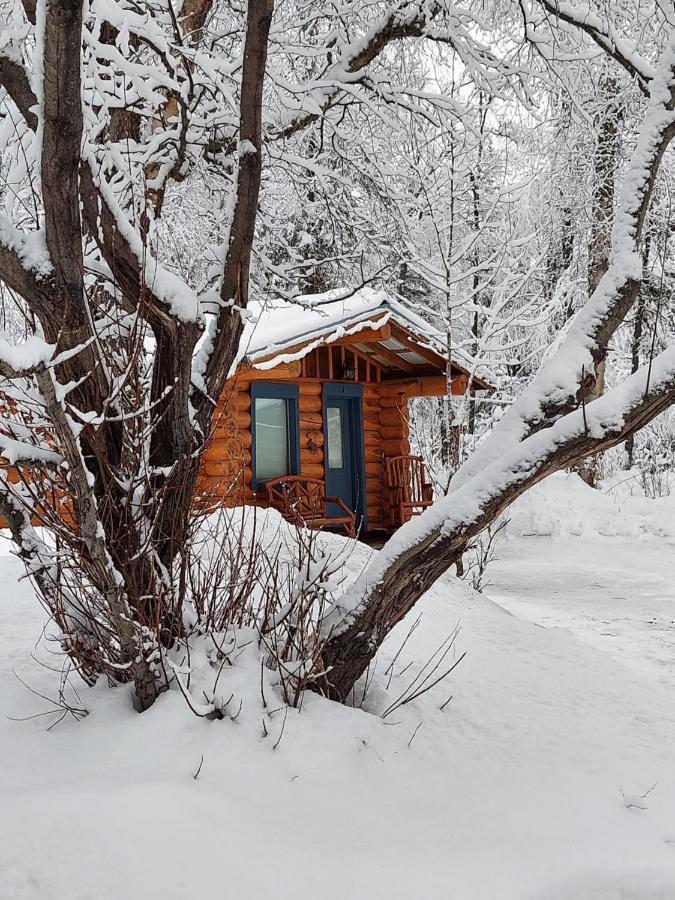 Hatcher Pass Cabins 帕尔默 外观 照片