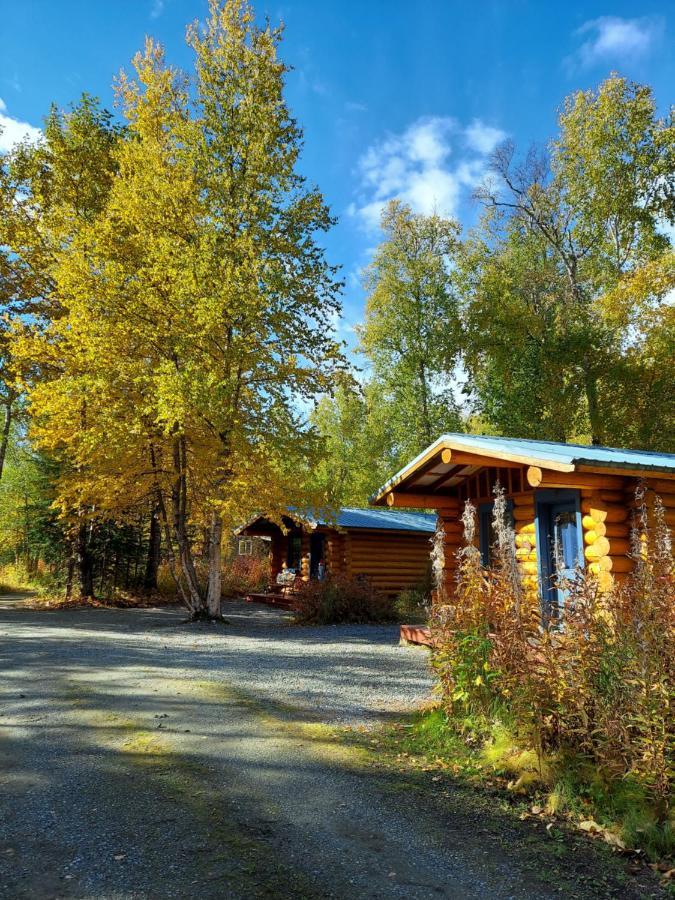 Hatcher Pass Cabins 帕尔默 外观 照片