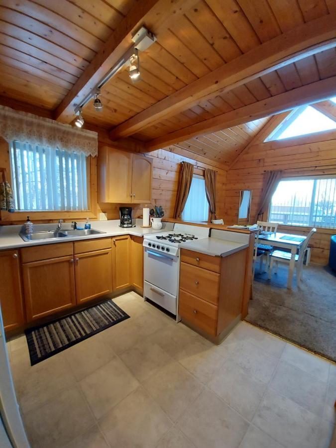 Hatcher Pass Cabins 帕尔默 外观 照片